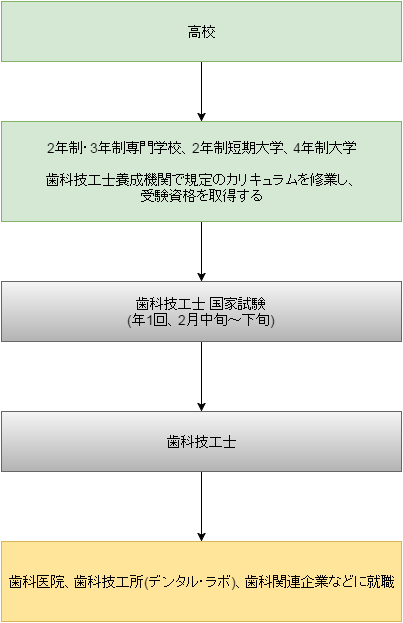 歯科技工士になるには