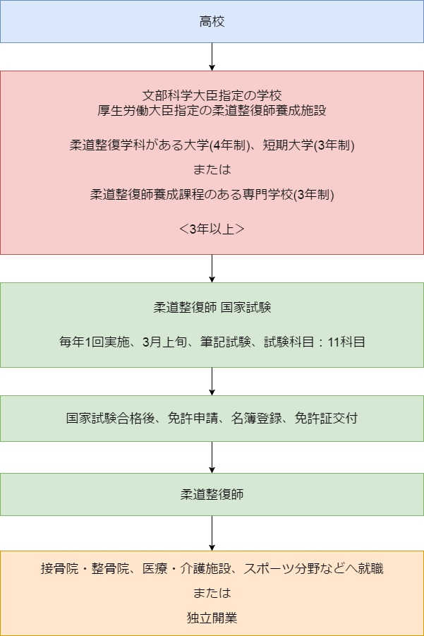 柔道整復師になるには・資格取得までの流れ