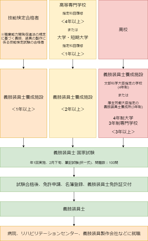 義肢装具士になるには・資格取得までの流れ